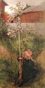 Carl Larsson Apple Blossoms oil painting reproduction